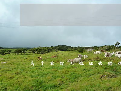 关于农村土地征收赔偿规定律师好 关于农村土地征收赔偿规定律师好