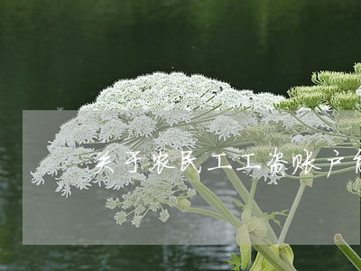 关于农民工工资账户能否被法院查封 关于农民工工资账户能否被法院查封