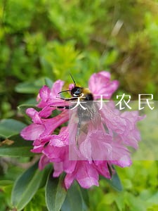 关于农民工欠薪法律援助 关于农民工欠薪法律援助