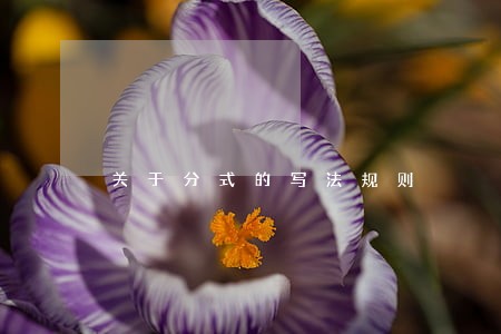 关于分式的写法规则 关于分式的写法规则