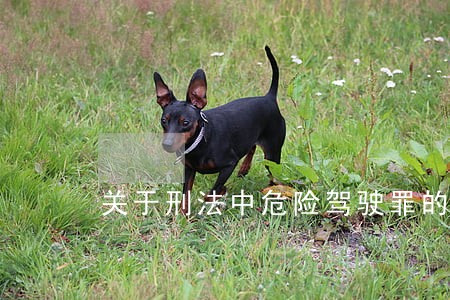 关于刑法中危险驾驶罪的认定细节 关于刑法中危险驾驶罪的认定细节