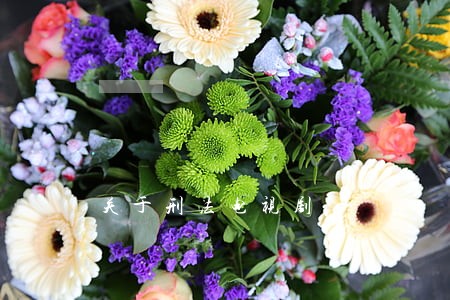 关于刑法电视剧 关于刑法电视剧