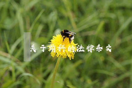 关于前科的法律条文