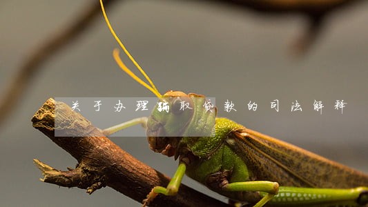 关于办理骗取贷款的司法解释 关于办理骗取贷款的司法解释