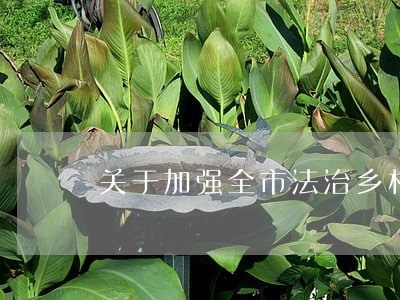 关于加强全市法治乡村建设的 关于加强全市法治乡村建设的