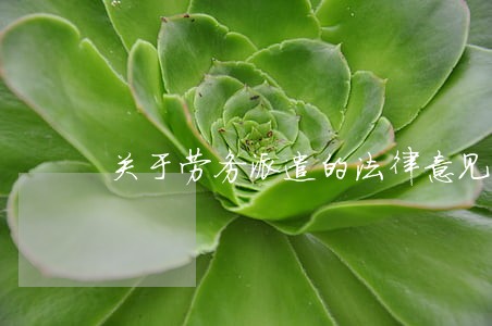 关于劳务派遣的法律意见书