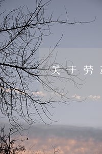 关于劳动合同法试岗 关于劳动合同法试岗
