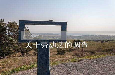 关于劳动法的调查 关于劳动法的调查