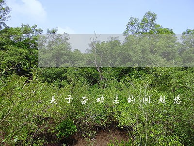 关于劳动法的问题您 关于劳动法的问题您