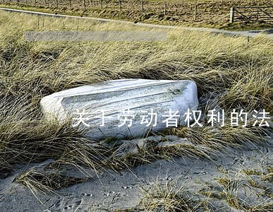 关于劳动者权利的法律分析 关于劳动者权利的法律分析