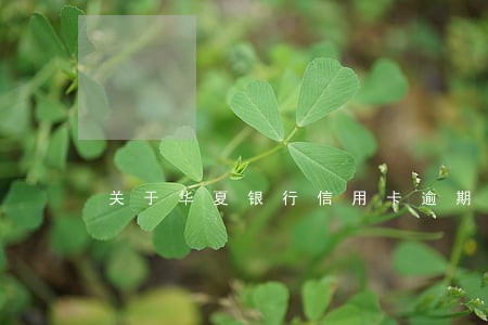 关于华夏银行信用卡逾期协商不了 关于华夏银行信用卡逾期协商不了