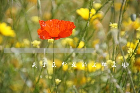 关于反邪教的法律法规 关于反邪教的法律法规