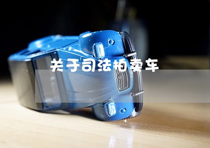 关于司法拍卖车