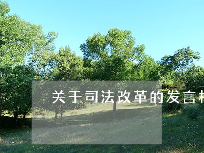关于司法改革的发言材料 关于司法改革的发言材料