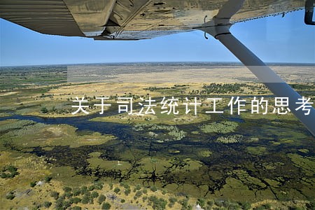 关于司法统计工作的思考 关于司法统计工作的思考