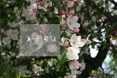关于司法考试限考政策发布通知 关于司法考试限考政策发布通知