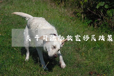 关于司法部放宽移民政策 关于司法部放宽移民政策
