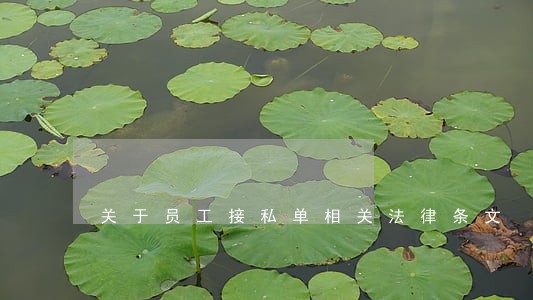 关于员工接私单相关法律条文 关于员工接私单相关法律条文