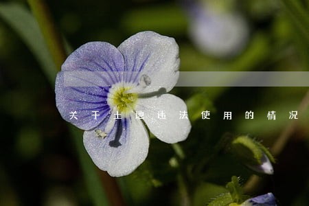 关于土地违法使用的情况说明 关于土地违法使用的情况说明