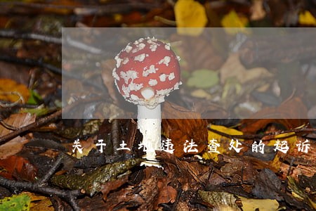 关于土地违法查处的起诉状 关于土地违法查处的起诉状