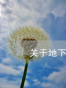 关于地下停车位的相关法规