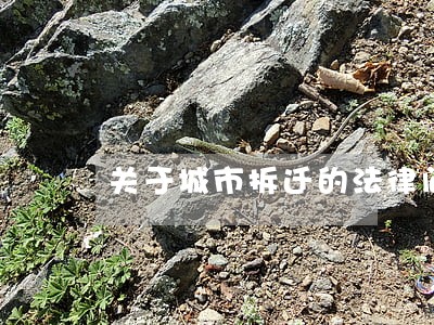 关于城市拆迁的法律问题