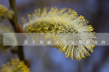 关于基础法律关系形成的借贷