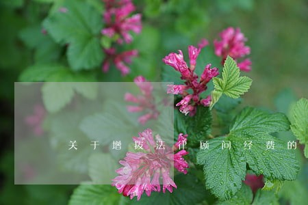 关于增拨法律顾问经费的报告 关于增拨法律顾问经费的报告