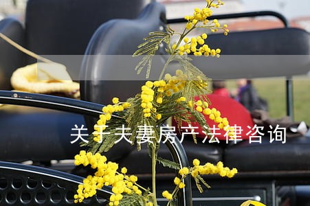 关于夫妻房产法律咨询 关于夫妻房产法律咨询