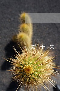 关于夫妻离婚的法律咨询 关于夫妻离婚的法律咨询
