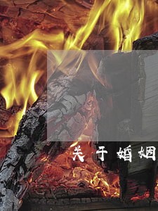 关于婚姻问题咨询律师 关于婚姻问题咨询律师