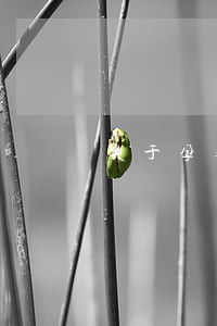 关于孕婴童用品的法规 关于孕婴童用品的法规
