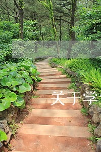 关于学生伤害事故的法律思考 关于学生伤害事故的法律思考