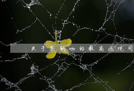 关于安钠咖的最高法院司法解 关于安钠咖的最高法院司法解