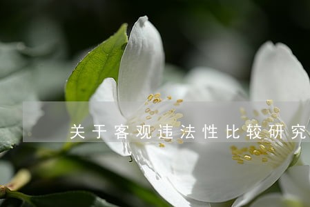 关于客观违法性比较研究 关于客观违法性比较研究