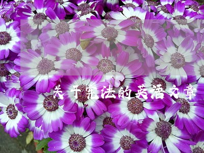 关于宪法的英语文章 关于宪法的英语文章