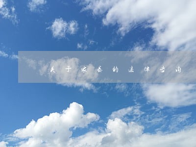 关于家暴的法律咨询 关于家暴的法律咨询