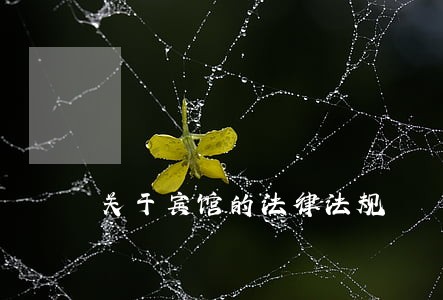 关于宾馆的法律法规