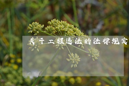 关于工程违法的法律规定 关于工程违法的法律规定
