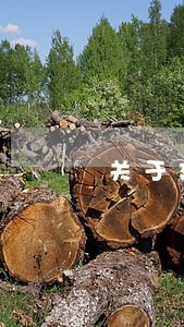 关于建立法律顾问制度 关于建立法律顾问制度