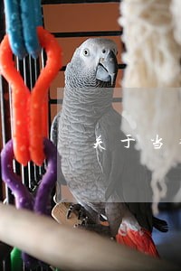 关于当律师 关于当律师