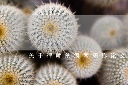关于律师的海南职称论文 关于律师的海南职称论文