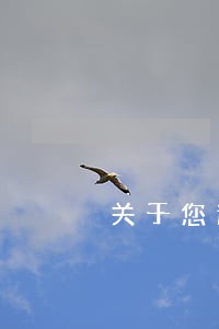 关于您逾期贷款一案 关于您逾期贷款一案