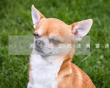 关于成立民法典宣讲团的通知 关于成立民法典宣讲团的通知