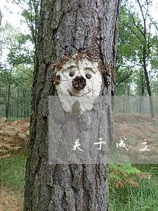 关于成立法律援助律师团的通知 关于成立法律援助律师团的通知