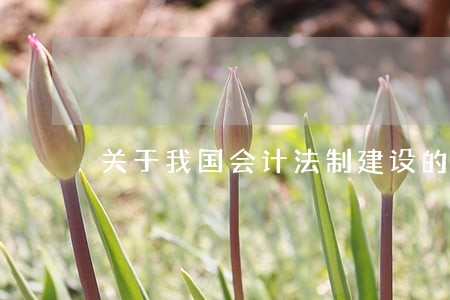 关于我国会计法制建设的思考 关于我国会计法制建设的思考