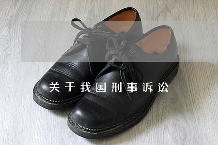 关于我国刑事诉讼 关于我国刑事诉讼