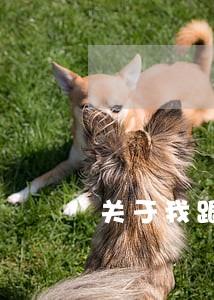 关于我跟他离婚后资源