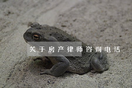 关于房产律师咨询电话 关于房产律师咨询电话