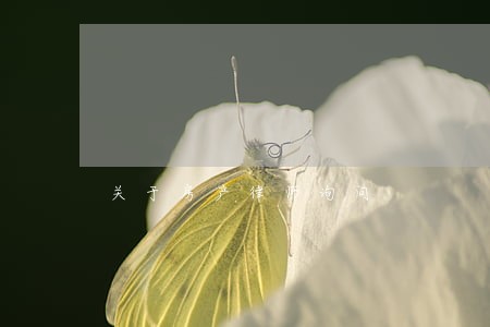 关于房产律师询问 关于房产律师询问